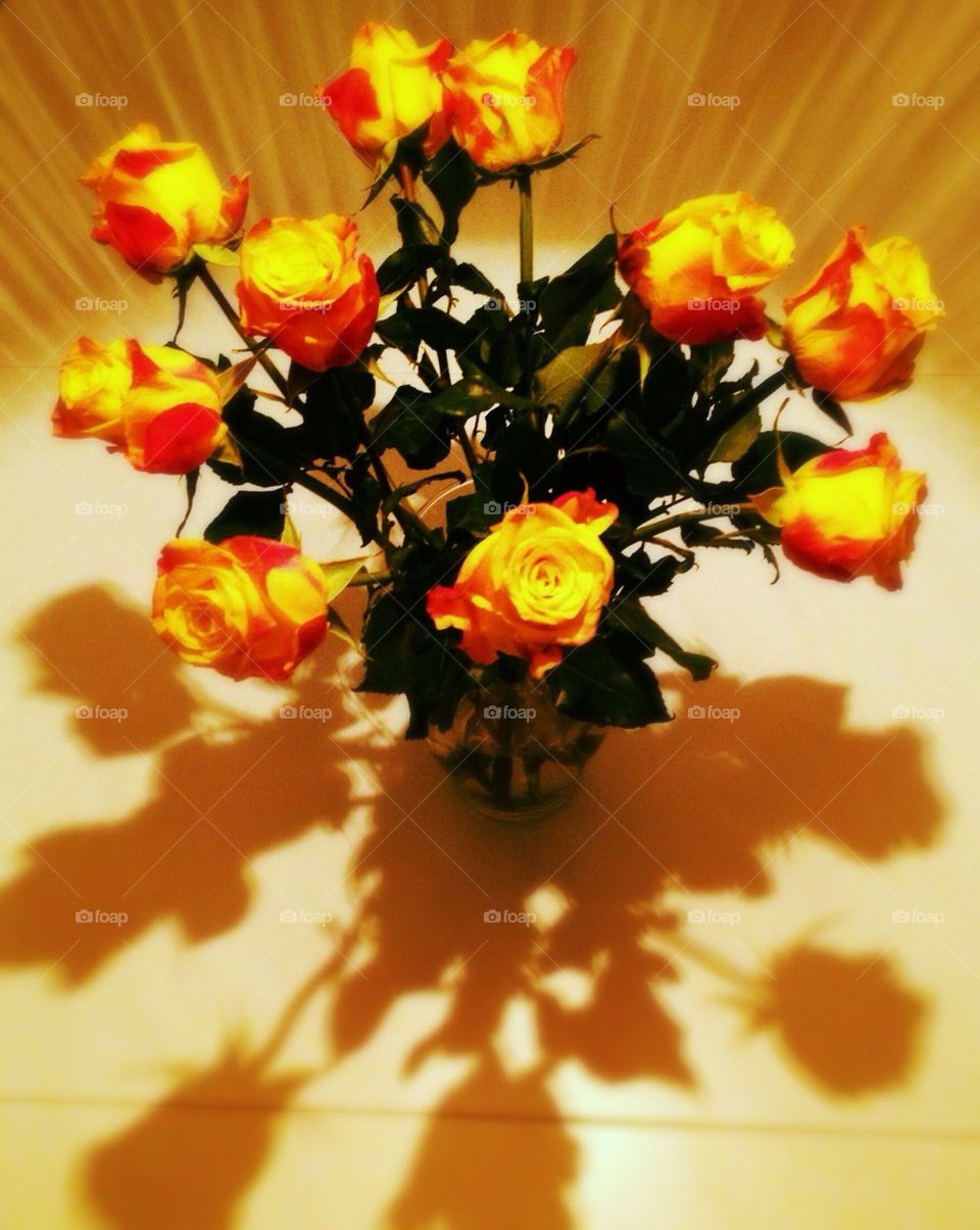 Yellow Roses