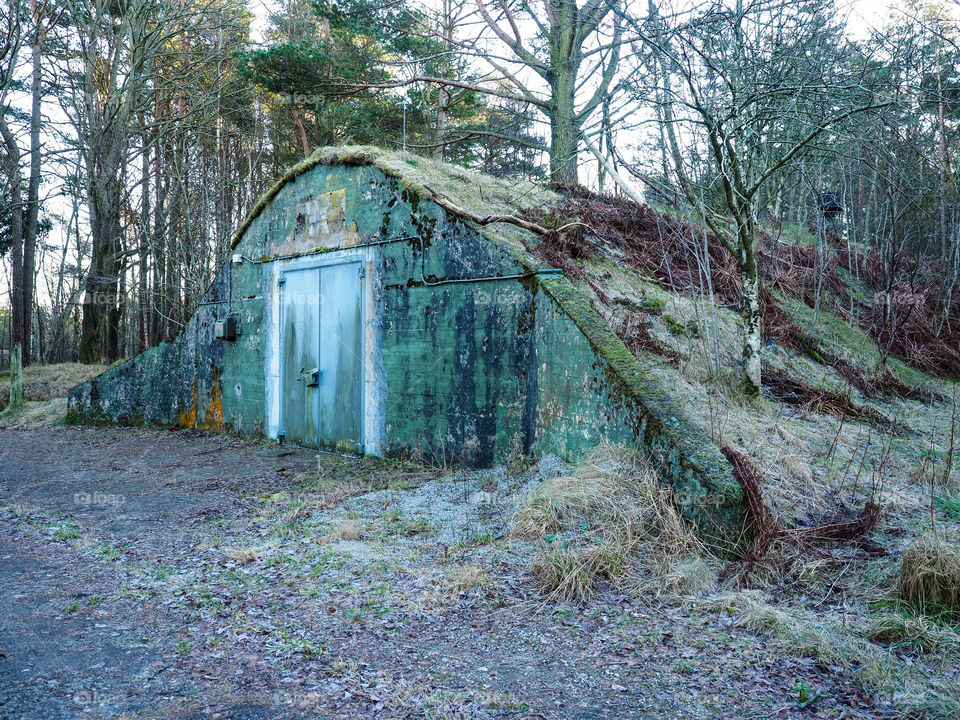 Bunker in the forest. 