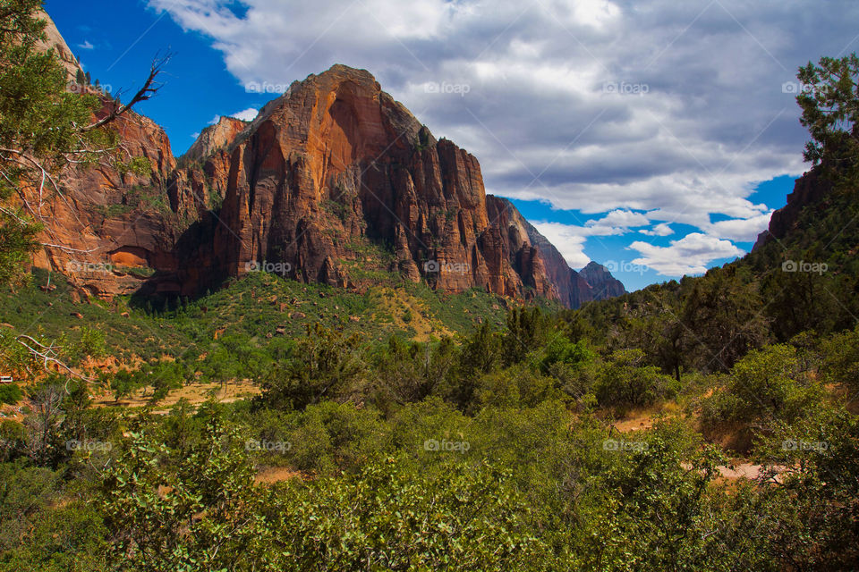 Rock mountain in Zion national park