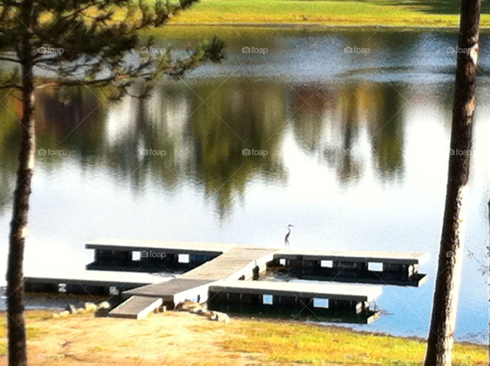tree lake dock crane by mengzishiliu