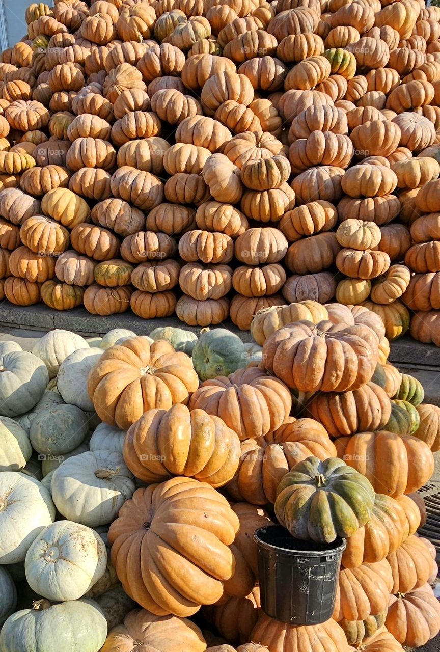 Pumpkin for haloween