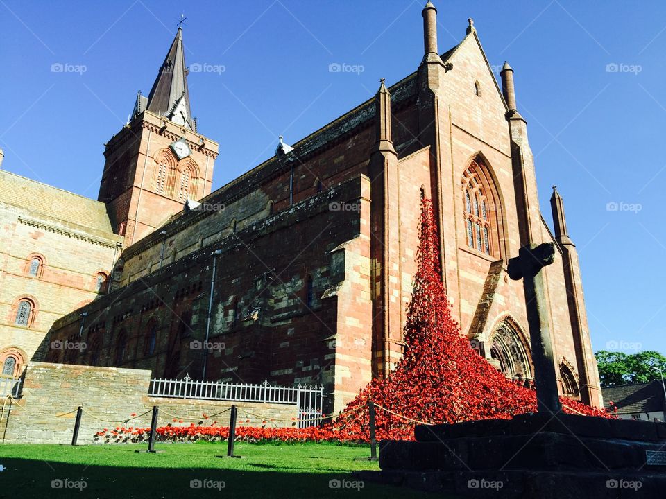 Tower of London poppies outside Britain's most northerly Cathedral. The ceramic poppy installation in Kirkwall on Orkeny marked the centenary of the battle of Jutland.