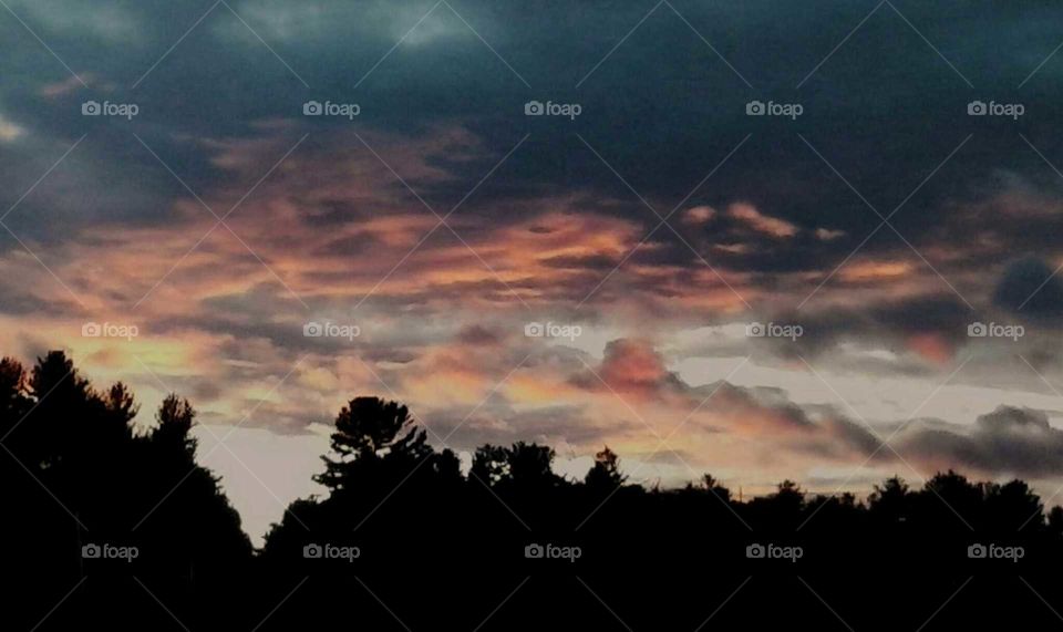 Sunset over the Trees