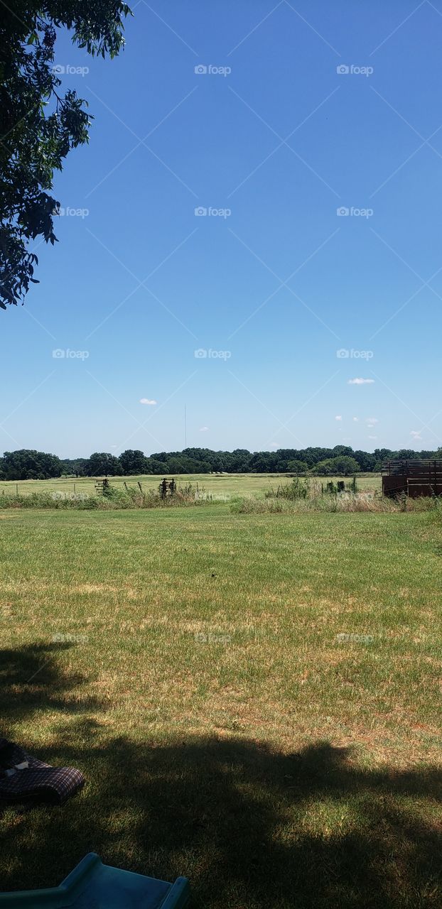 Beautiful family farm. Peaceful pasture just begging you to explore.