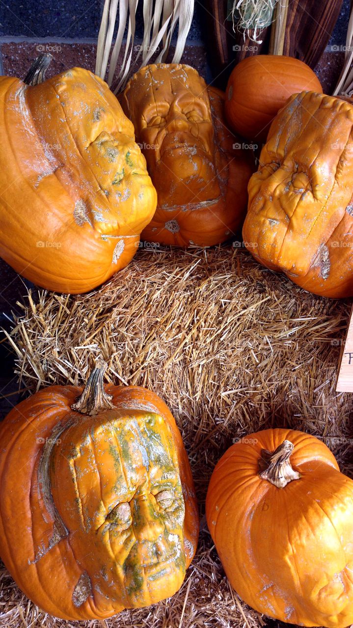 Frankenstein pumpkin
