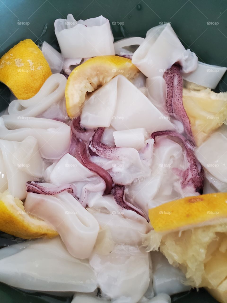 fresh squid