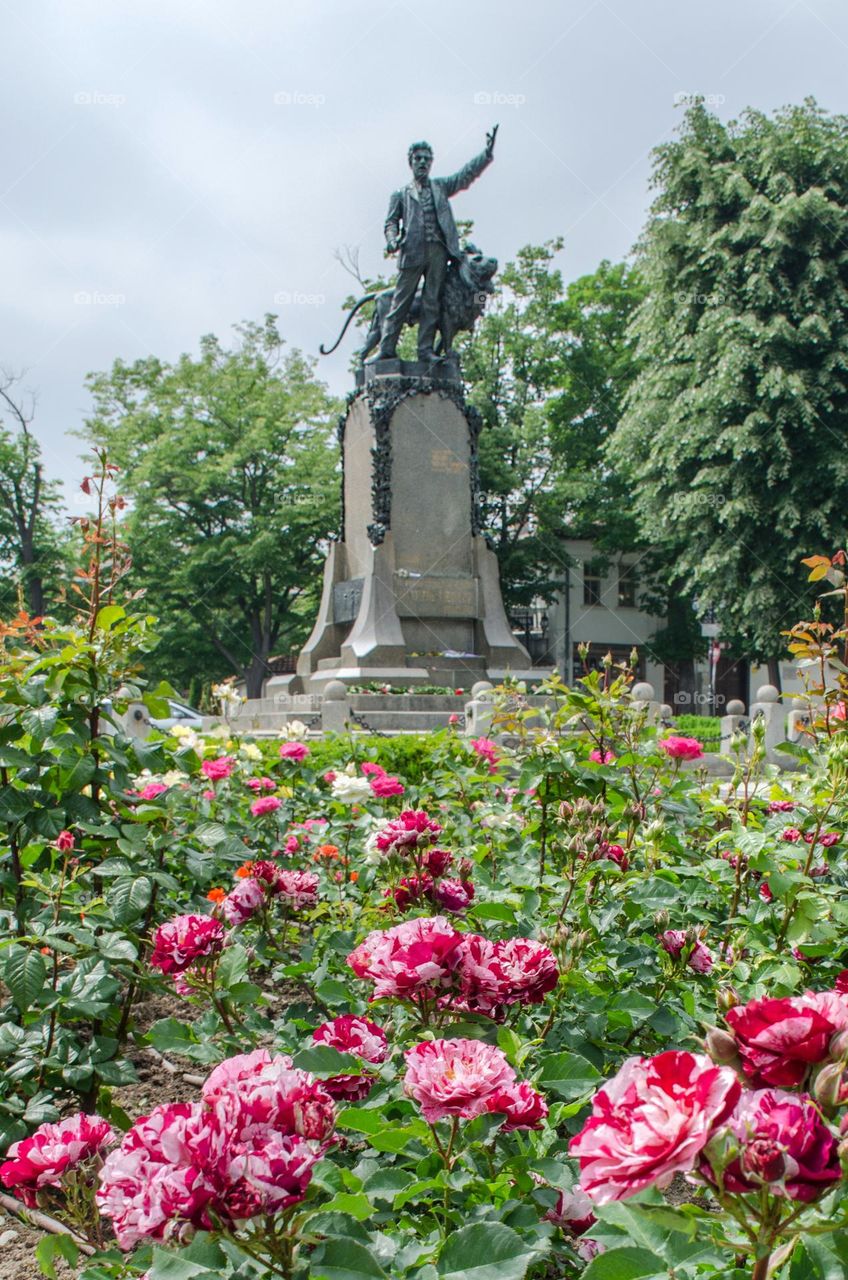 Urban Nature Plants, Karlovo, Bulgaria