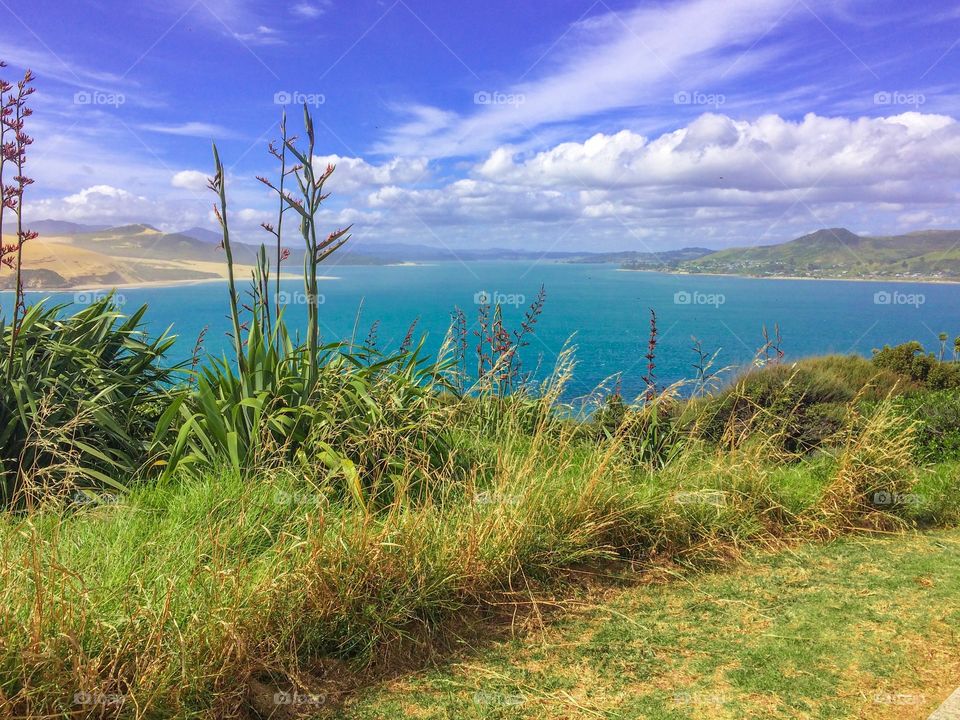 New Zealand Scenery Road Trip