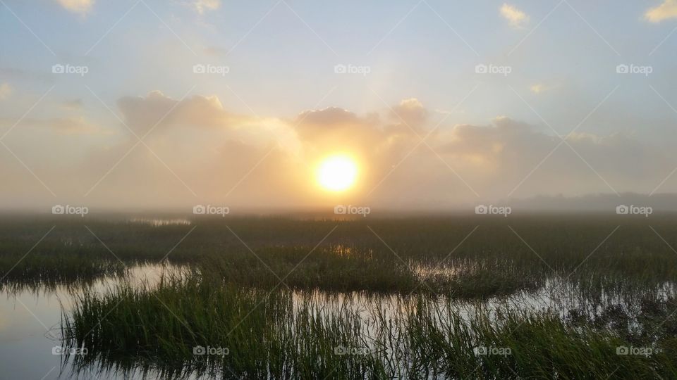 Botany bay foggy morning