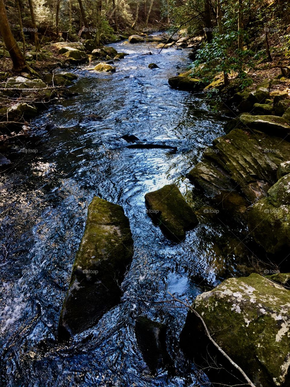 Light simmering across the creek