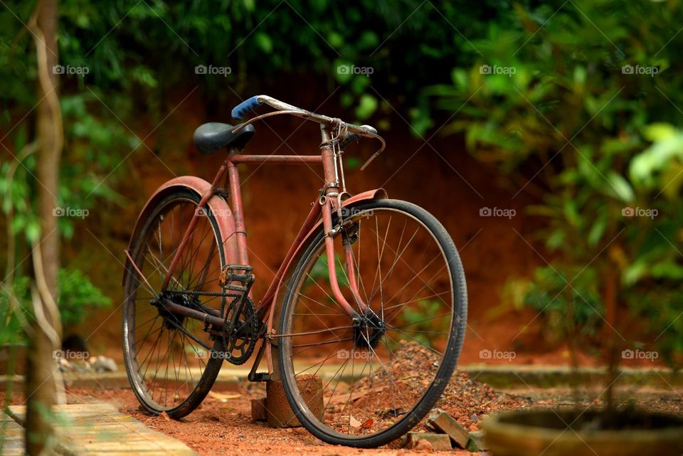 bicycle