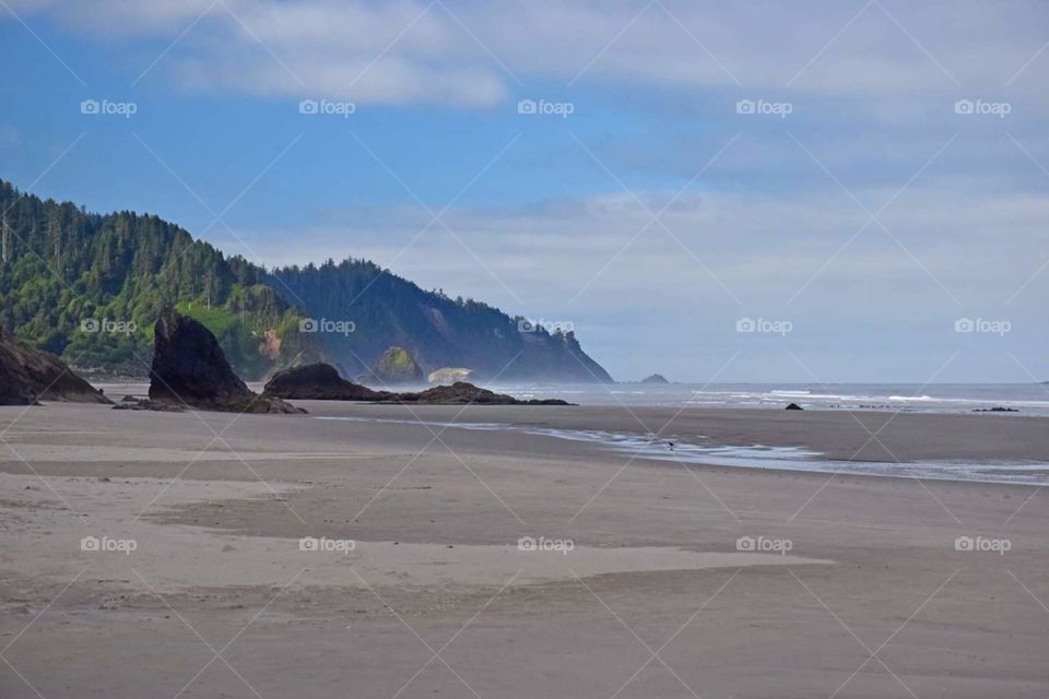 Canon beach oregon