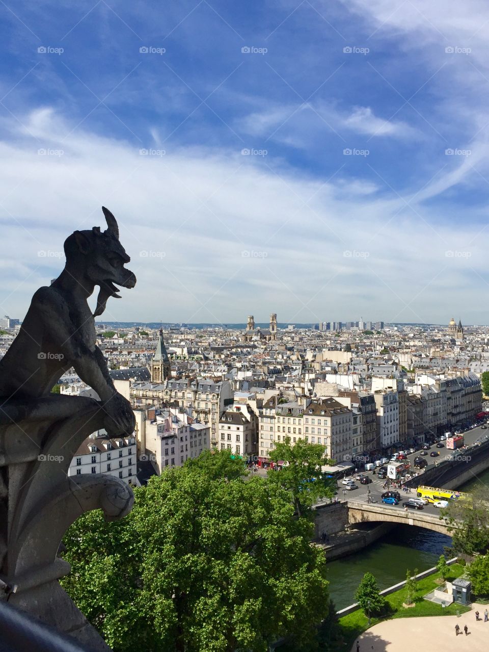 Gargoyles over Paris