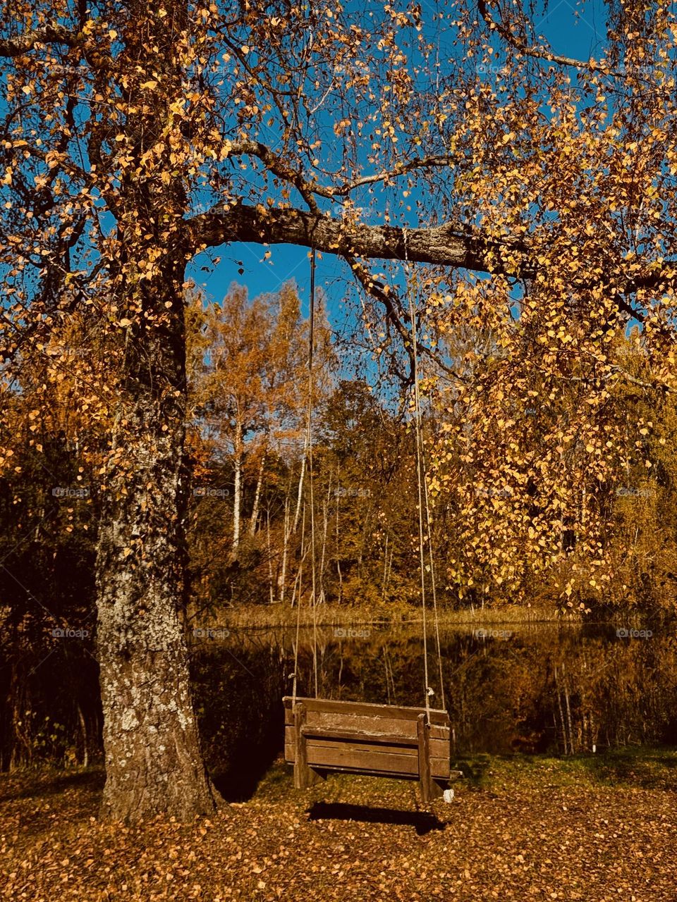 Autumn beauty