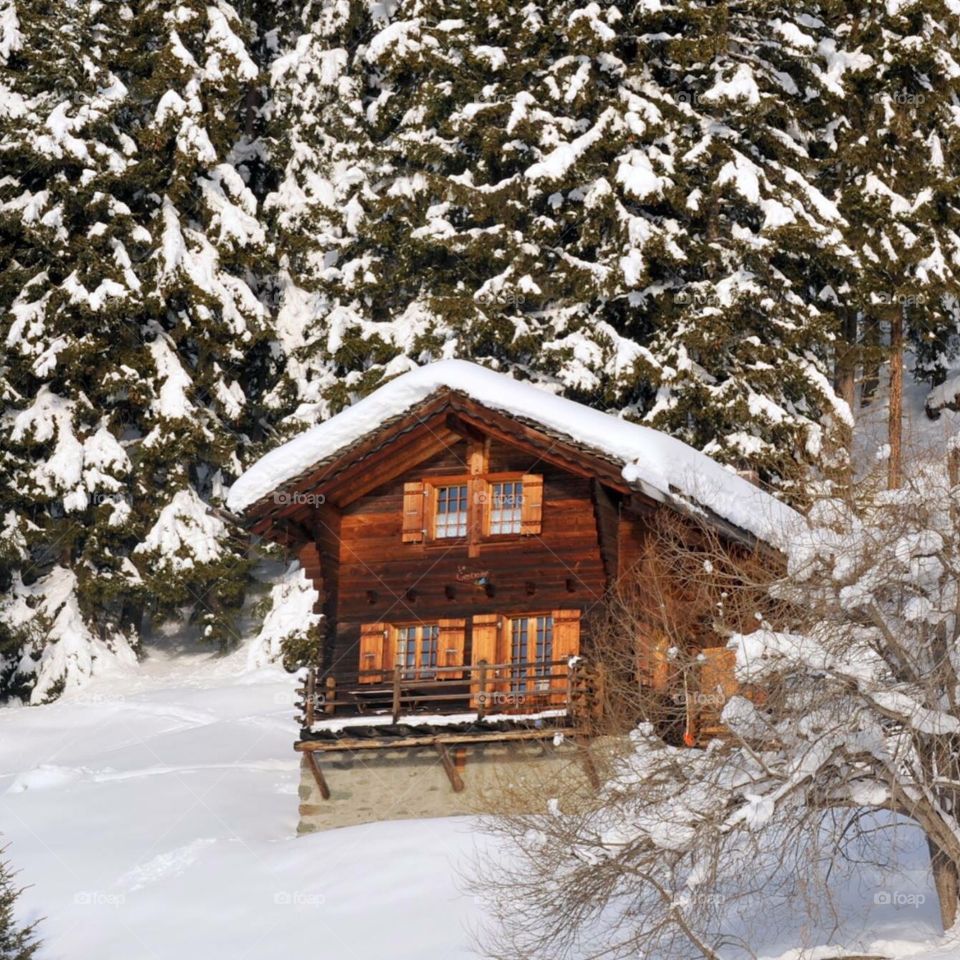 Chalet in the Snow 