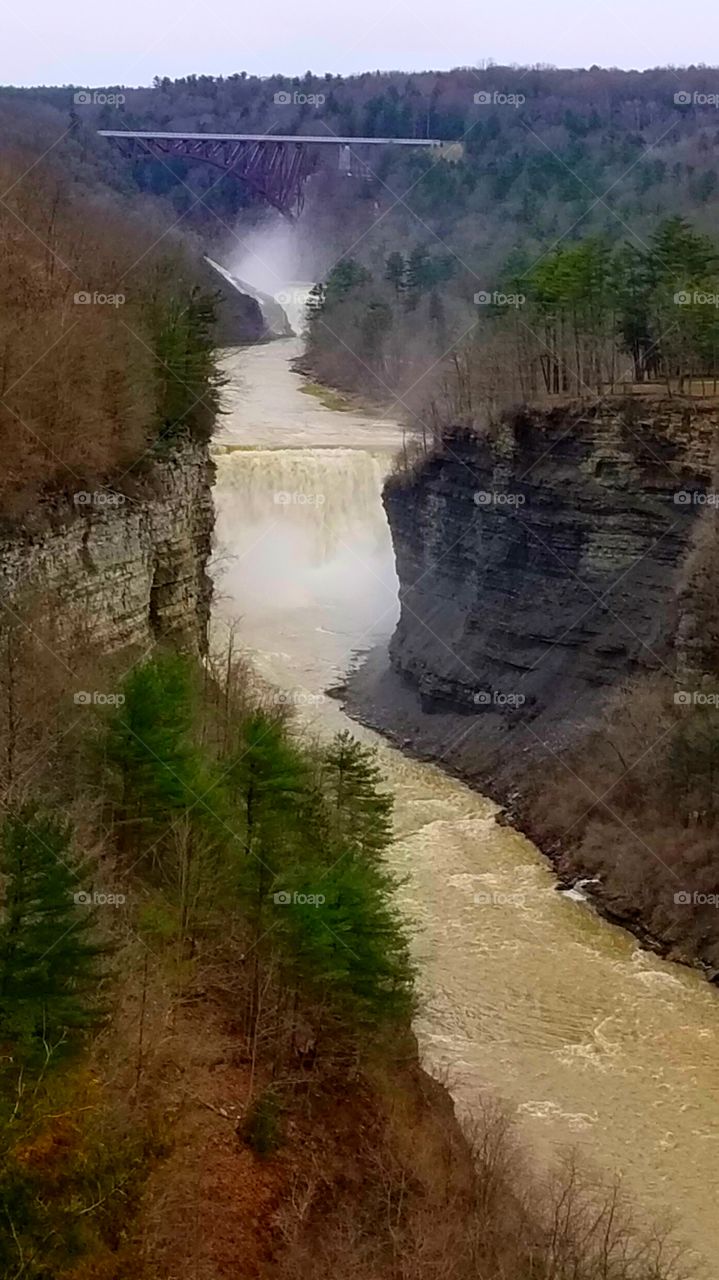 one of the few rivers that flows North, this is the Genesee River, it has 3 magnificent water falls and a majestic railroad bridge crossing over the river, which is located in the state of New York
