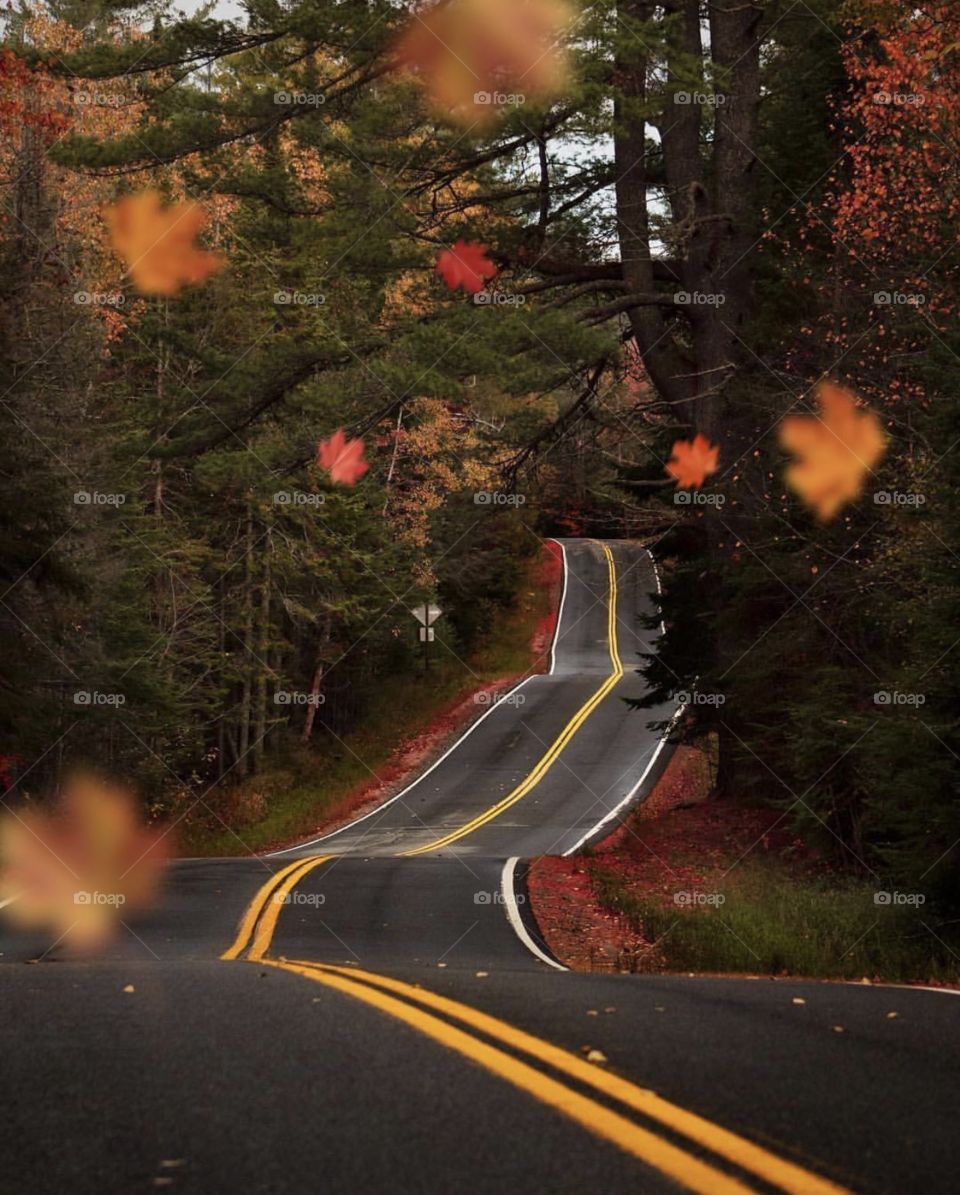 Taking a road trip in New York,USA 