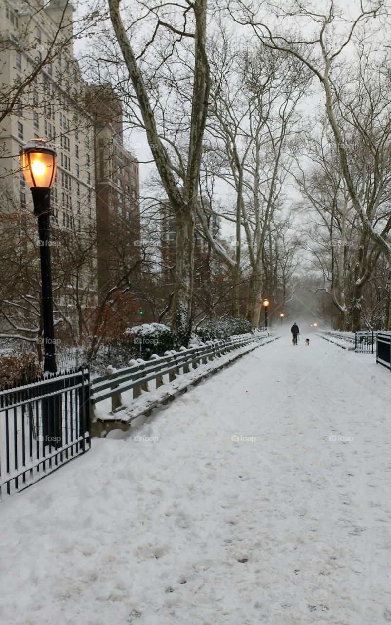 Snow Day NYC Park