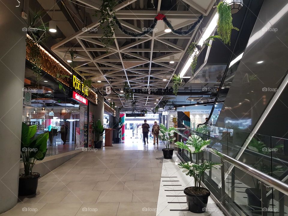 corridor between shop in shopping building, arnamental plant, green leaf flowers, glass barriers, bright lights, clear white floors