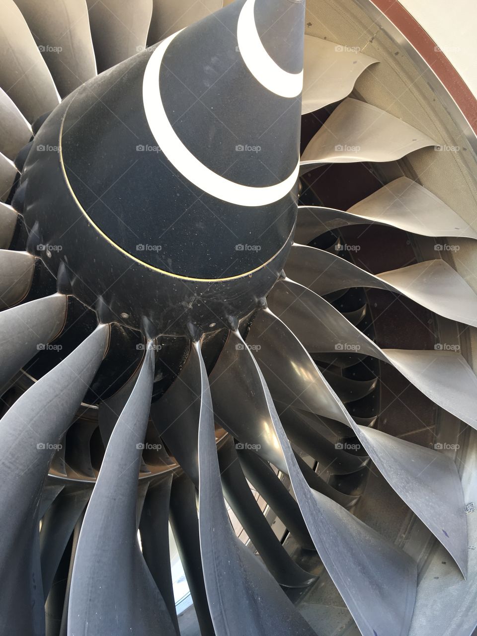 Dreamliner GENx engine fan blades