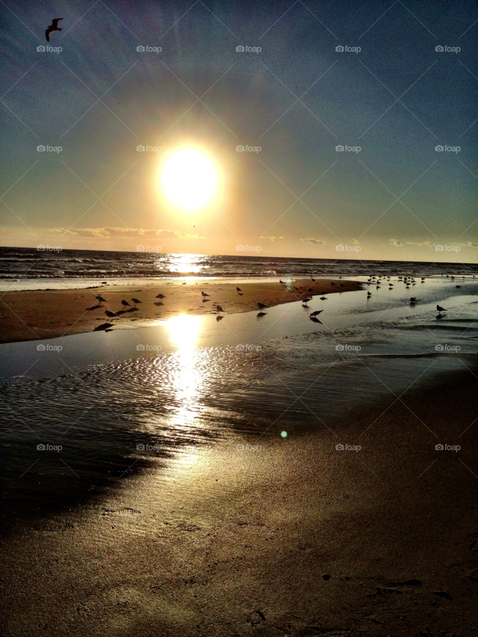 beach ocean morning sun by bcpix