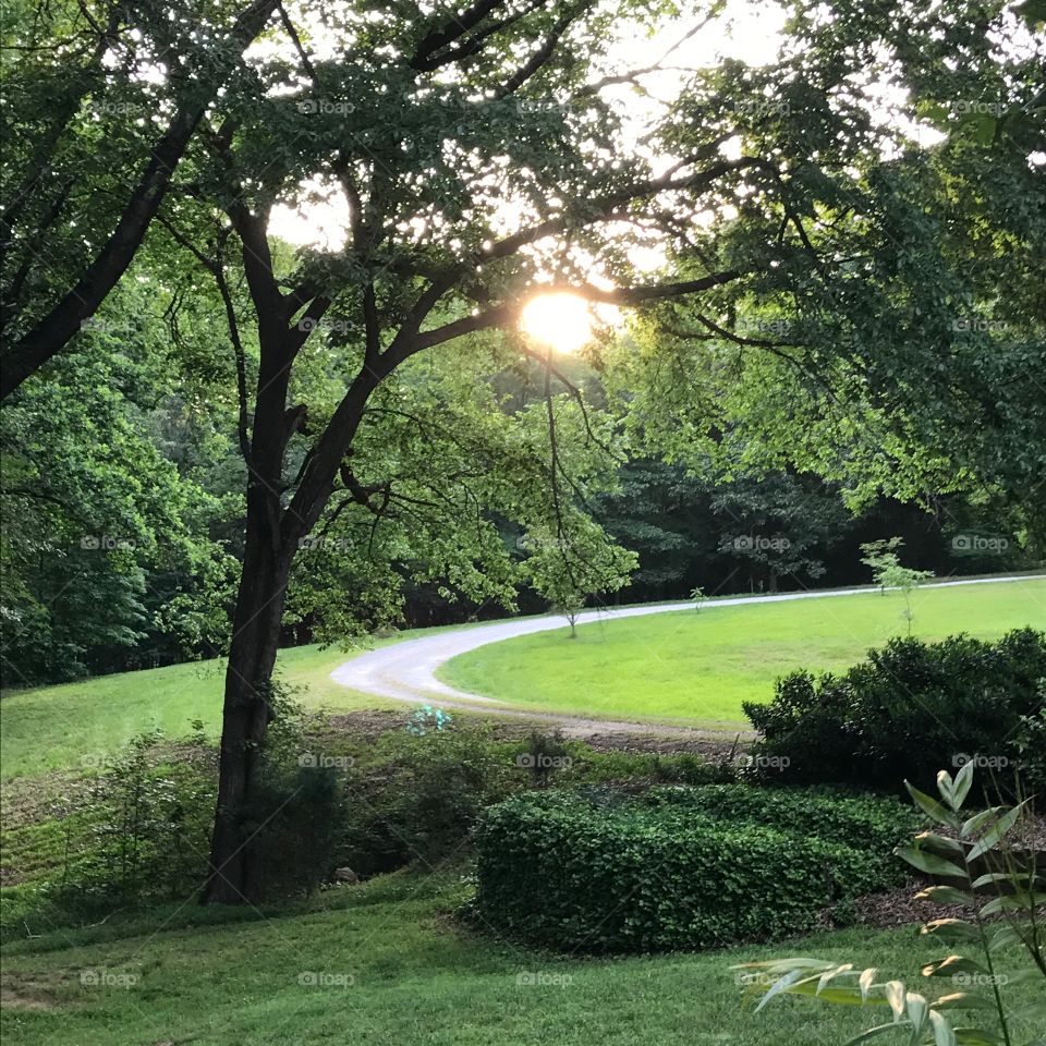 Dawn at my grandmother's driveway with the sun peeking through.