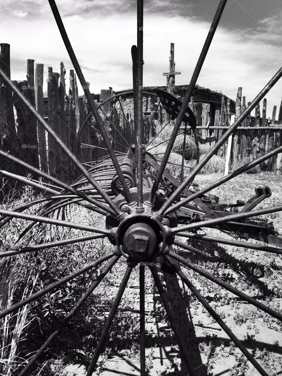 Metal wheel in farm