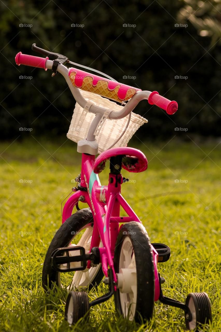 Toddler bicycle, view from behind