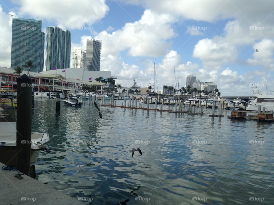  Picturesque Miami . Boating