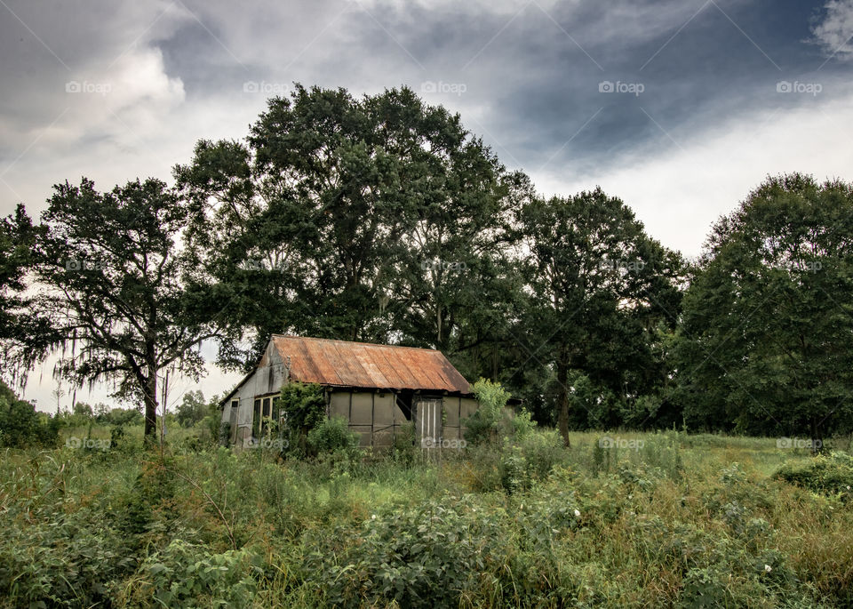 Desolate forgotten rustic haunted abandoned house in south Louisiana 