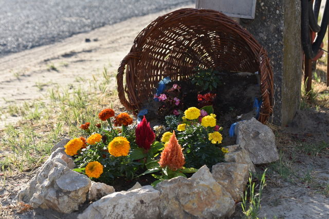 Basket's blooming