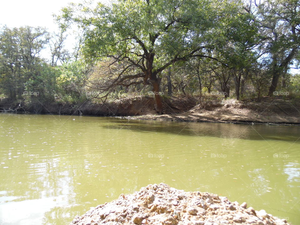 Brazos river. This is a picture of the Brazos river