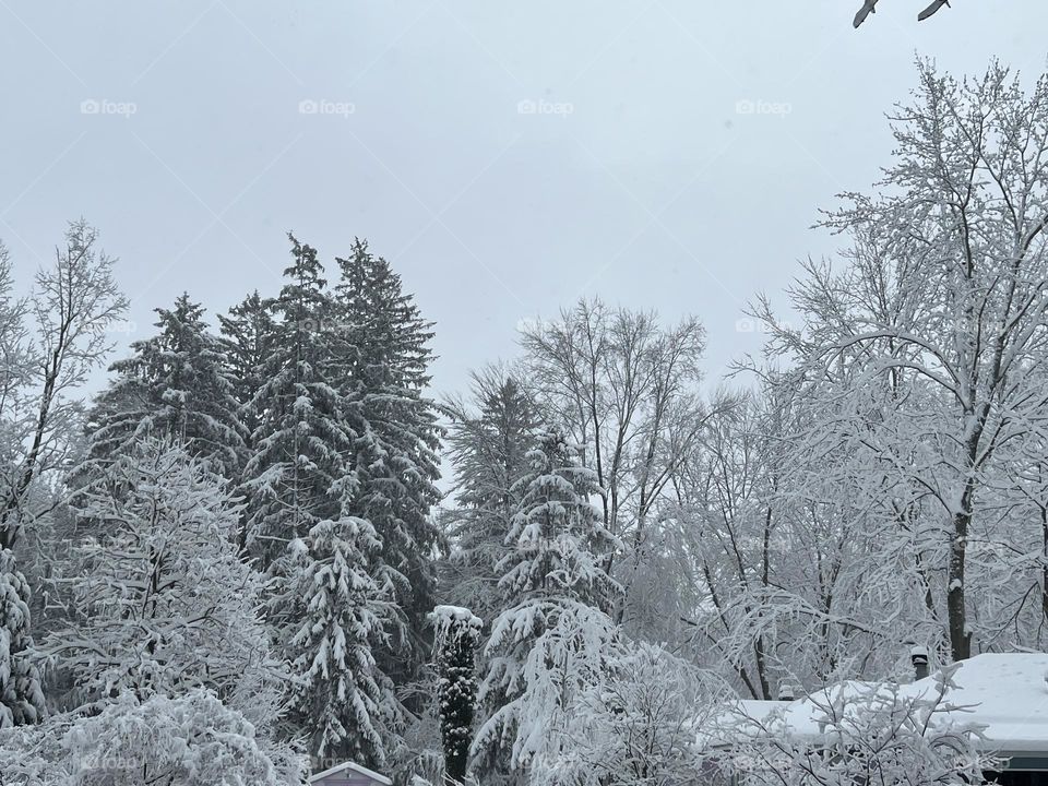 Snowstorm on holiday