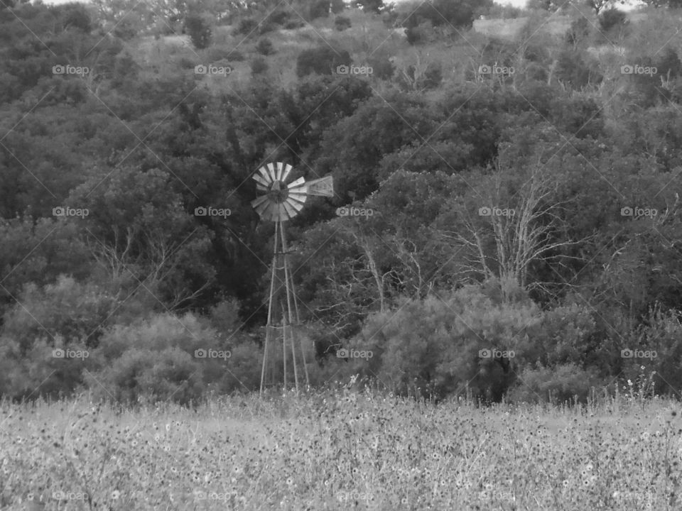 TX wind 💨 mill. This is a picture I took while traveling to Eliasville Texas. 👣 🚶 🏃 🔥 💨
