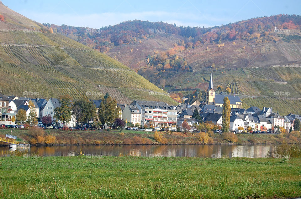 Fall foliage along the Mosel River in Germany.  