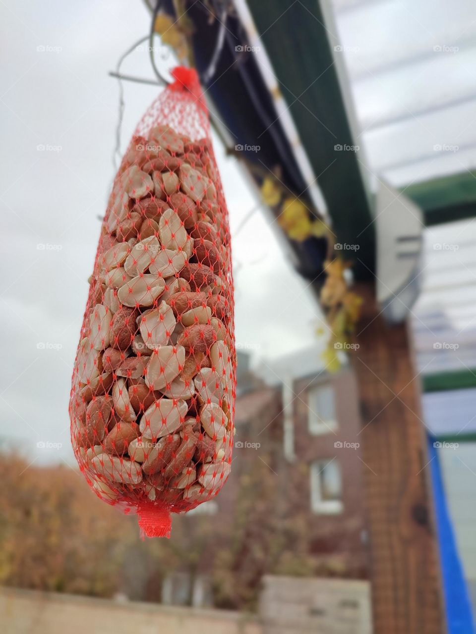 Bag of peanuts for birds