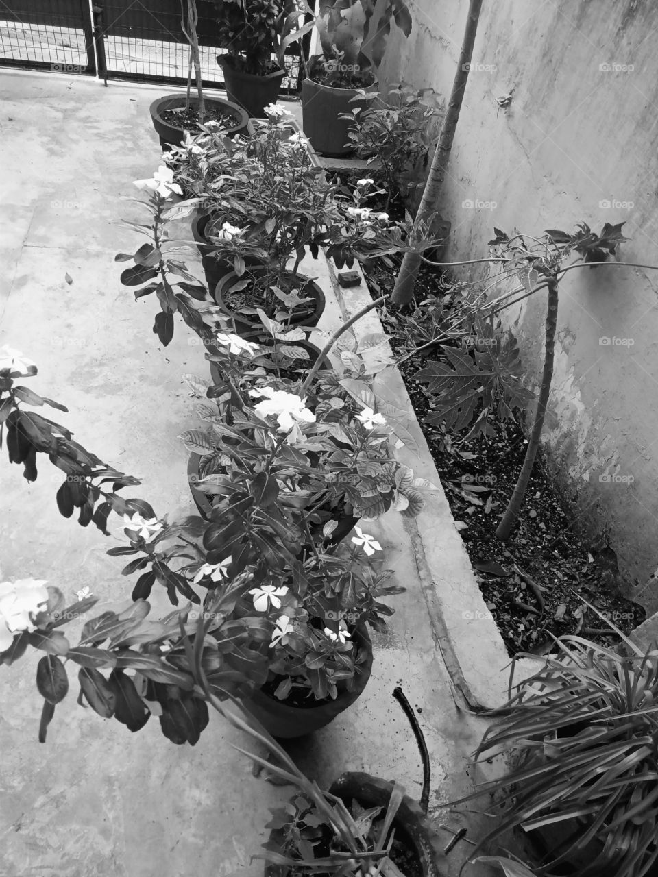 Black and white moments