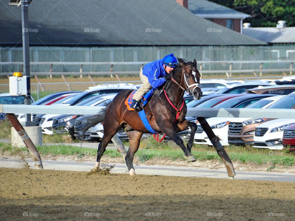 Training at Belmont Park. A fast colt training on the training track at Belmont Park. Gary Sciacca has this racehorse ready to run.
Fleetphoto