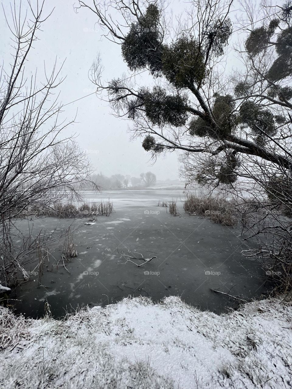 Misty winter days are so magnificent and mystical, full of calmness and cold beauty.