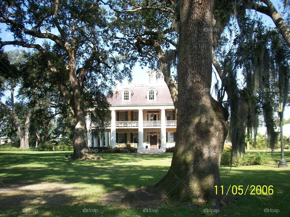 Mansion 