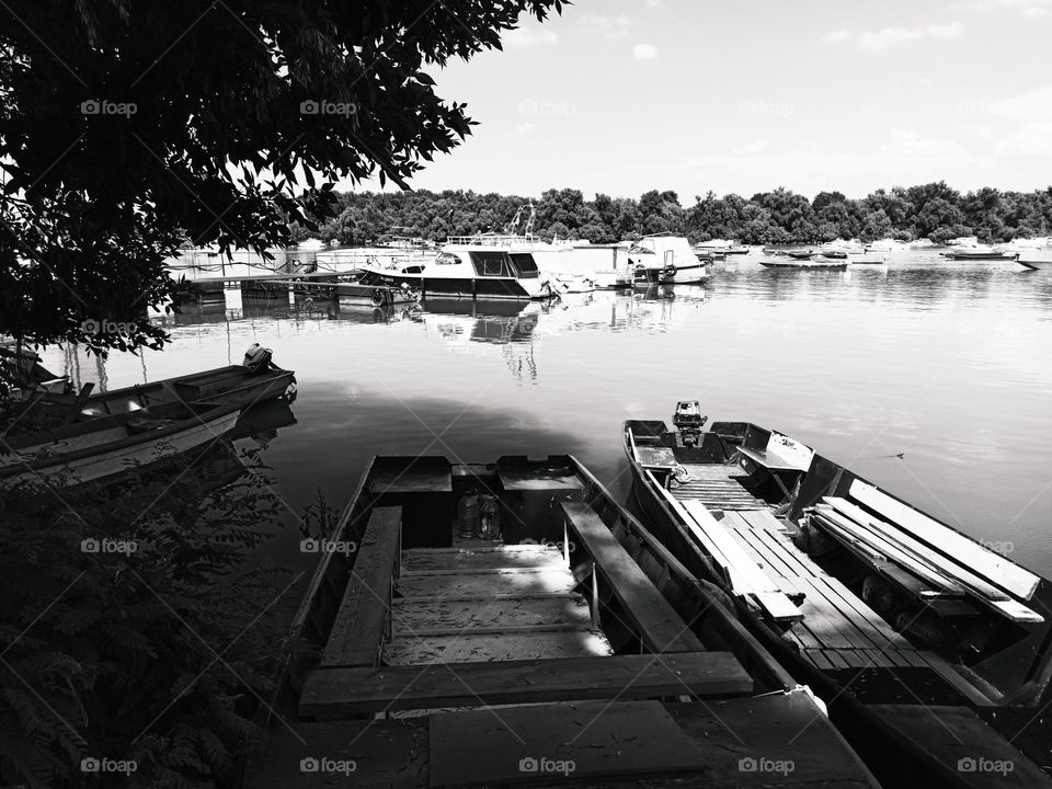 two boats under tree on river in black and white