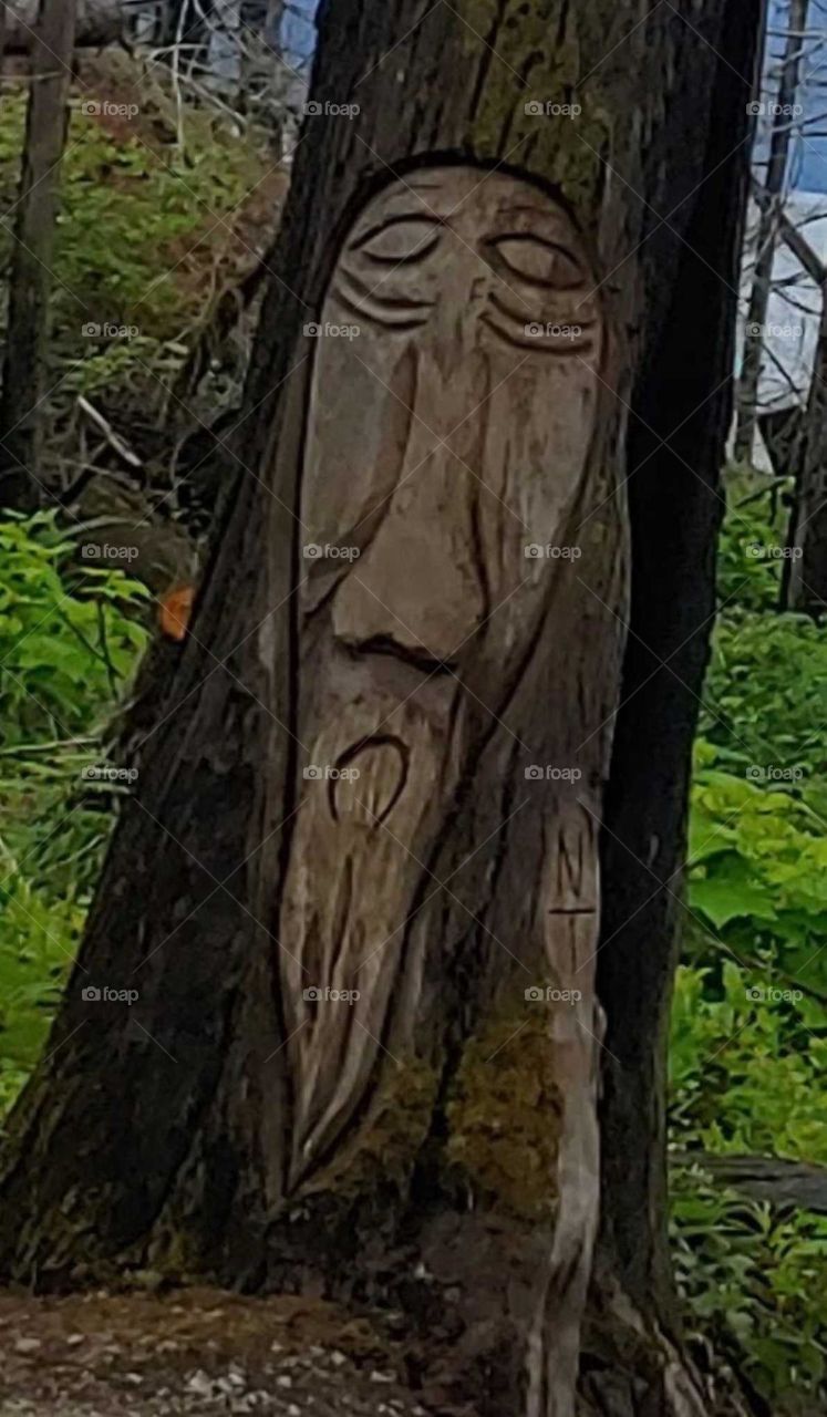 carved tree in the mountains