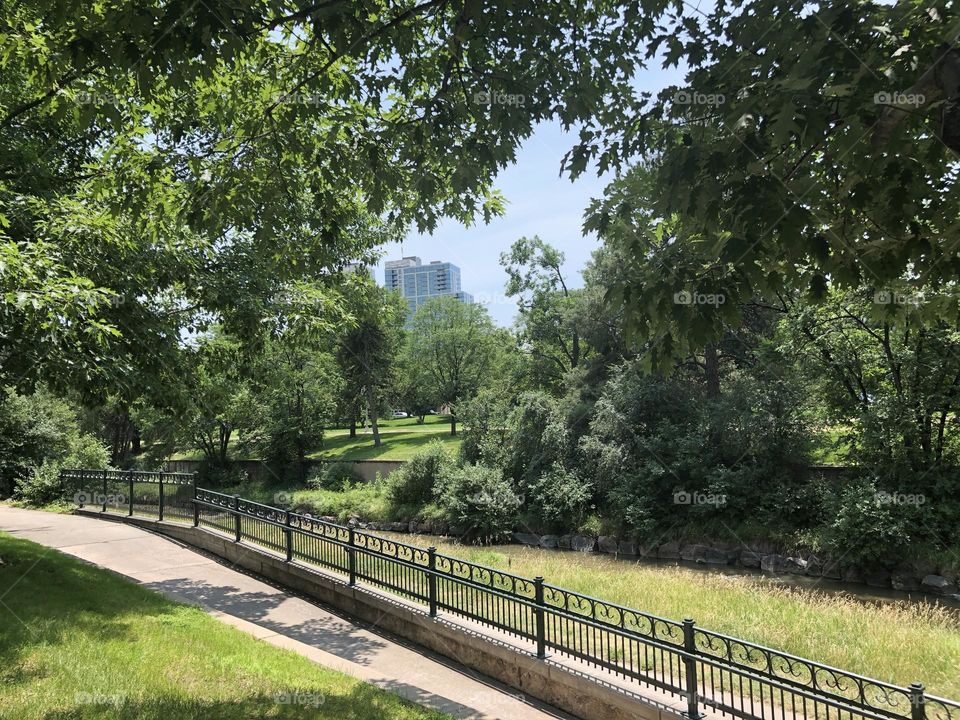 Finding nature in the city