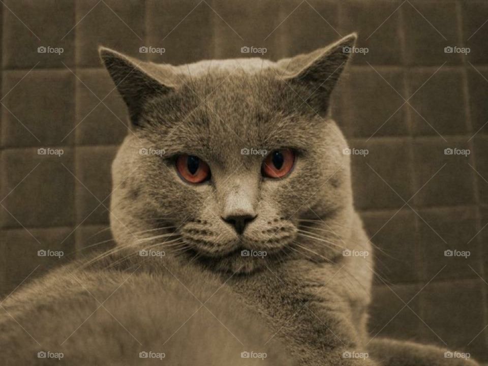 Today, a little bit grumpy