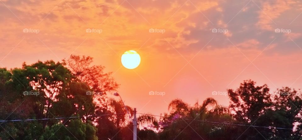 environment sunshine reflection peaceful day island air calm coast abstract tropical vacation golden panoramic tree season tranquil atmosphere tourism scenery seascape cloudy paradise natural panorama weather heaven clouds cloudscape bright scene col