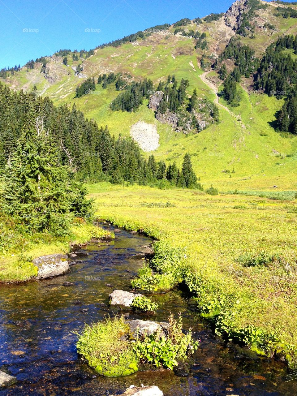 A stream running through a mountain valley in the summer. 