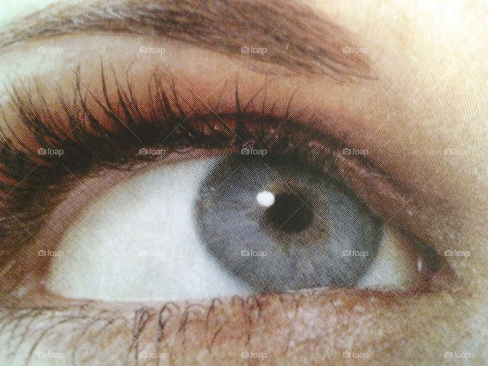 eye