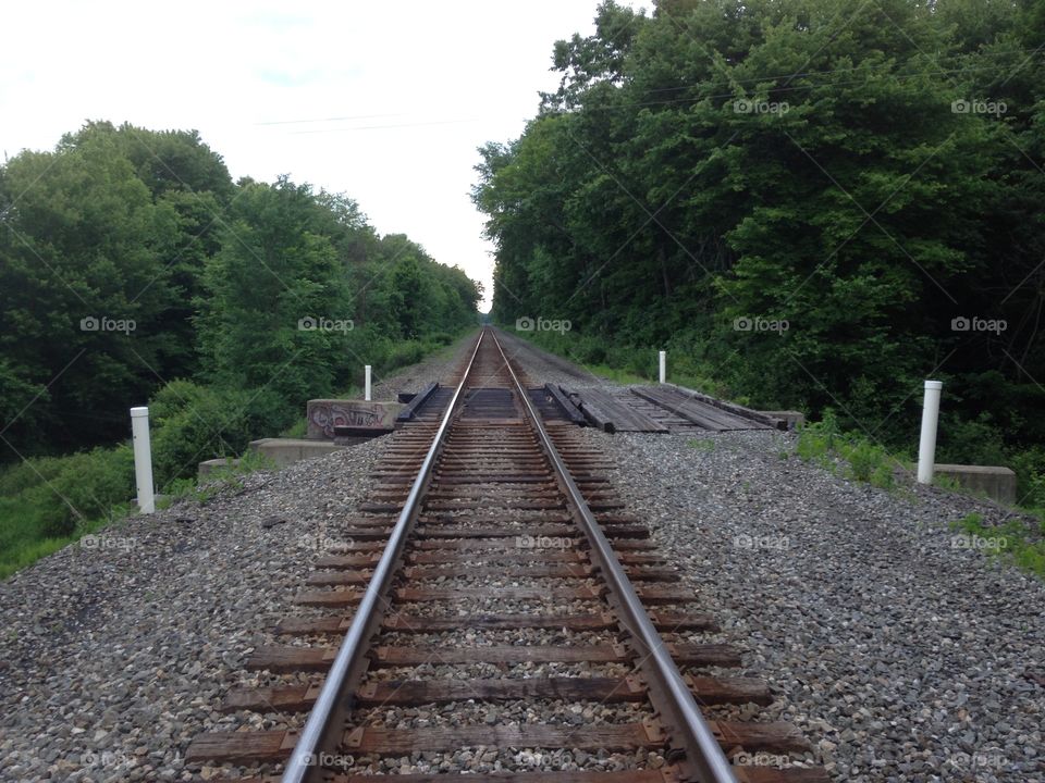 Railroad vanishing point Woods. Vanishing point Woods Railroad