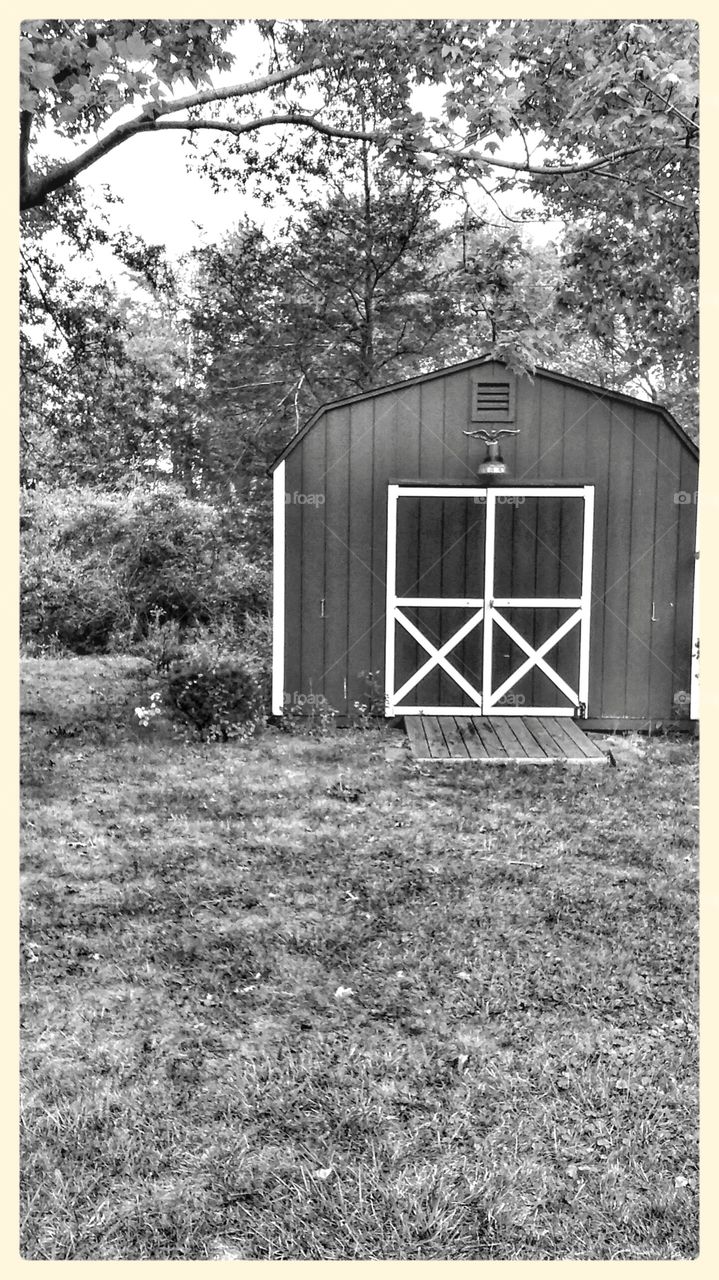 lil barn. barn shed in the back yard.