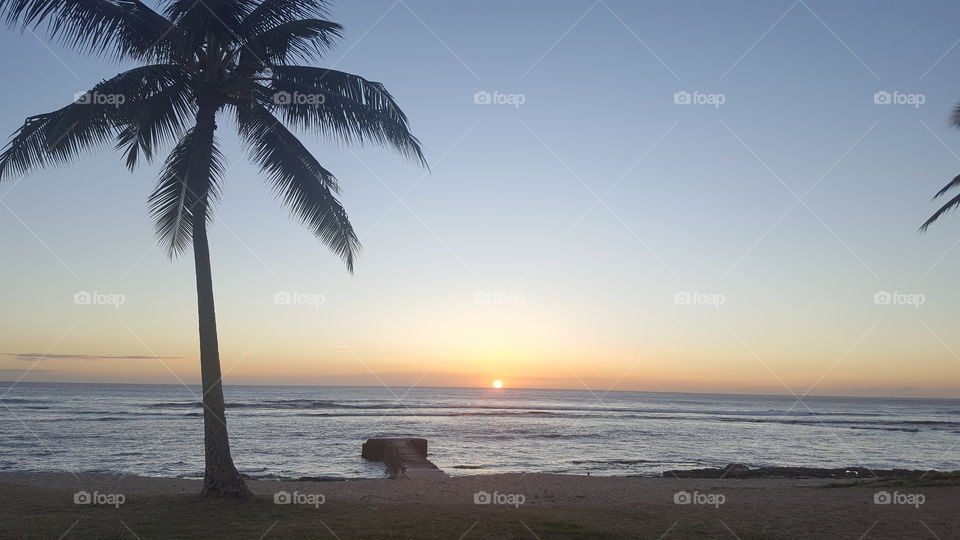 Hawaii Sunset